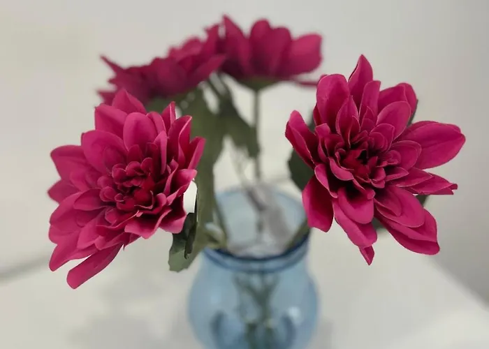 Casa de Férias Still House San Nicola Arcella